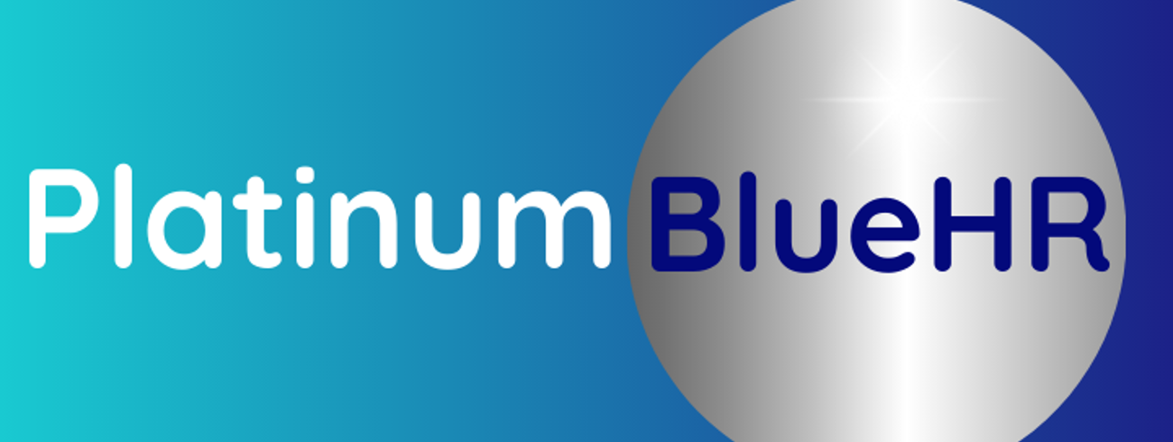 Tracey Bork Platinum Blue HR Ltd Banner Image