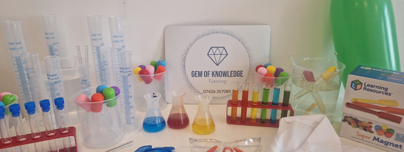 Carly Diamond Gem of Knowledge Ltd Banner Image