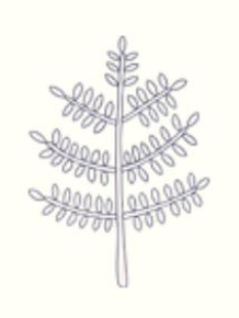 Louise Cameron - Linfield Associates Profile Image