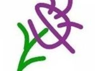 Donna Smith - Thystle Ltd Logo Image