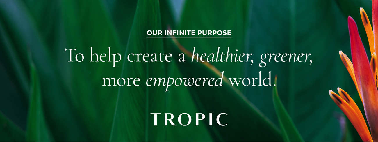 Lindsey Spiers Lindsey Spiers Travelling Tropic Banner Image