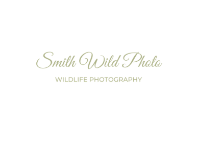 Marie Smith - Smith Wild Photo Logo Image