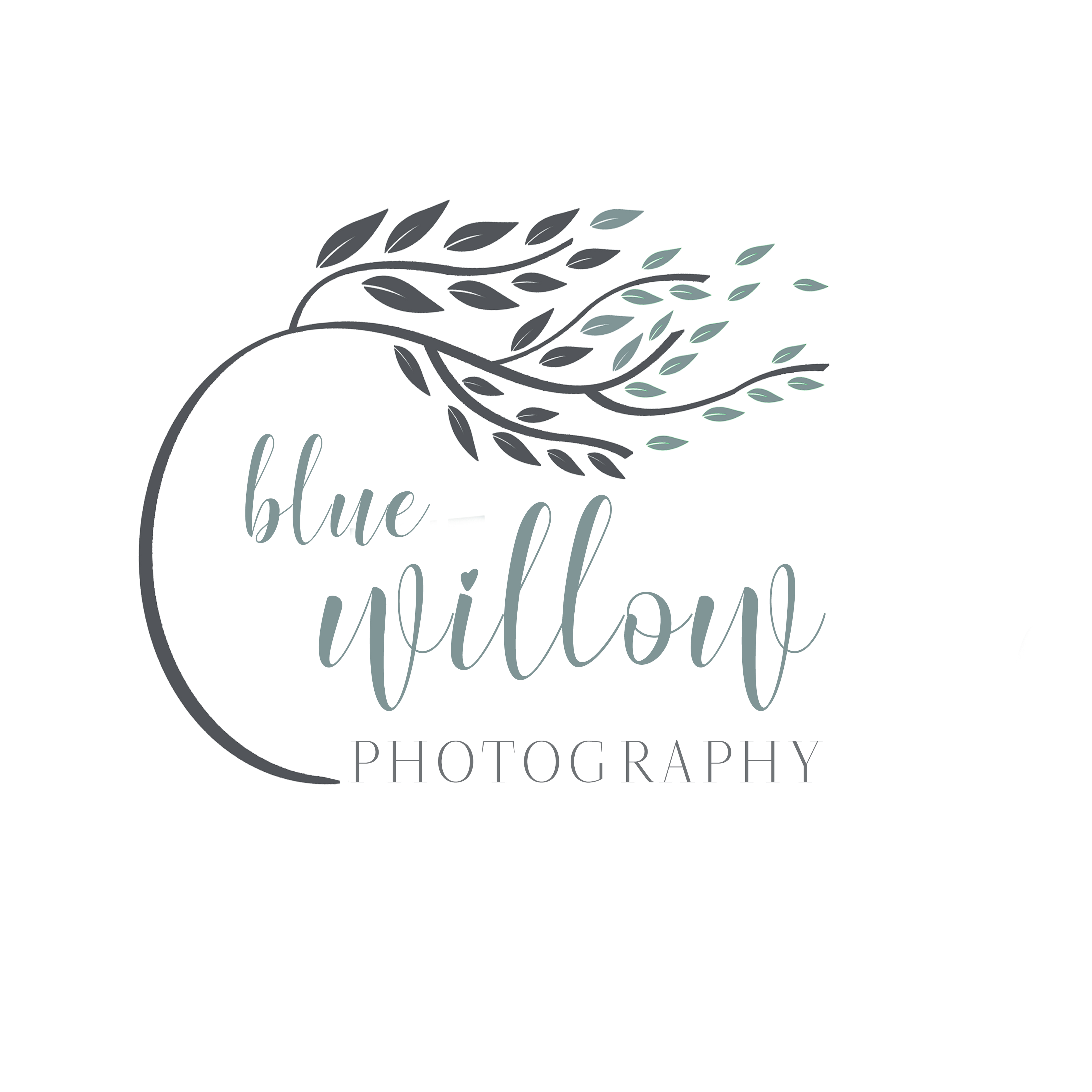 Julie Fraser Blue Willow Photography Logo Image