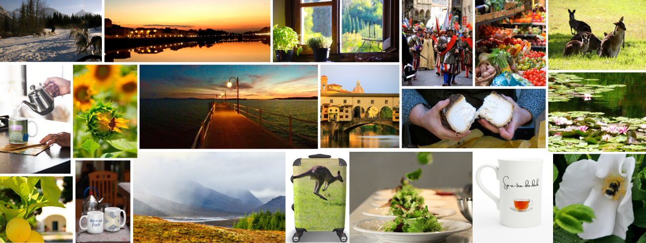 Sandy Swanton Sandy J Swanton Banner Image