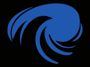 Nicoletta Maurizi - HyperDAP Ltd Logo Image