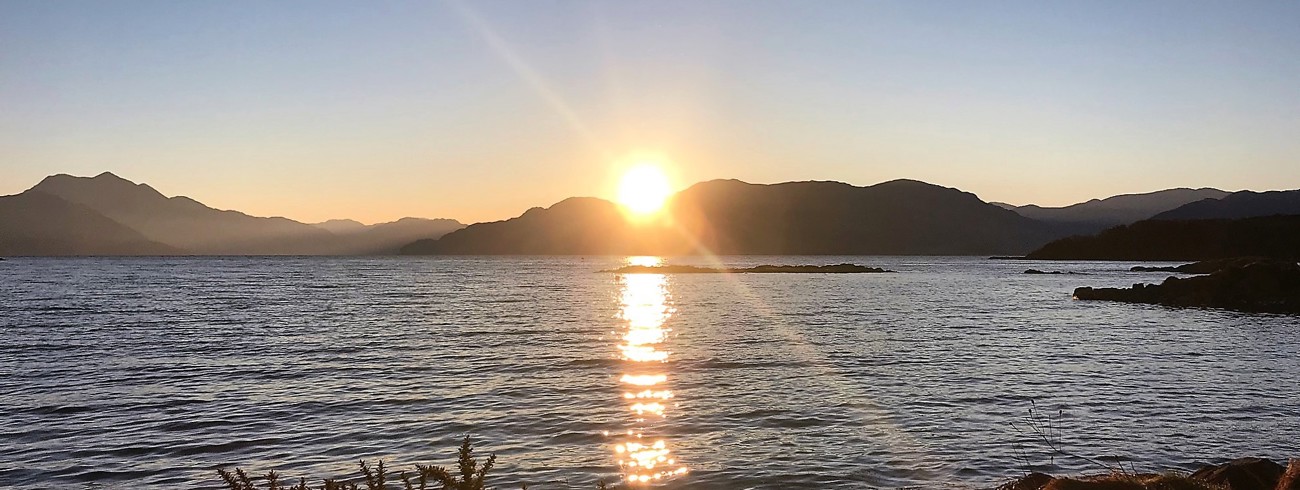 Nicola Thomson Lasair Ltd Banner Image