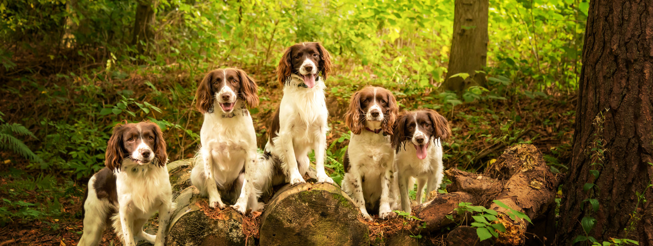 Fiona Cobban Cobban Marketing Banner Image