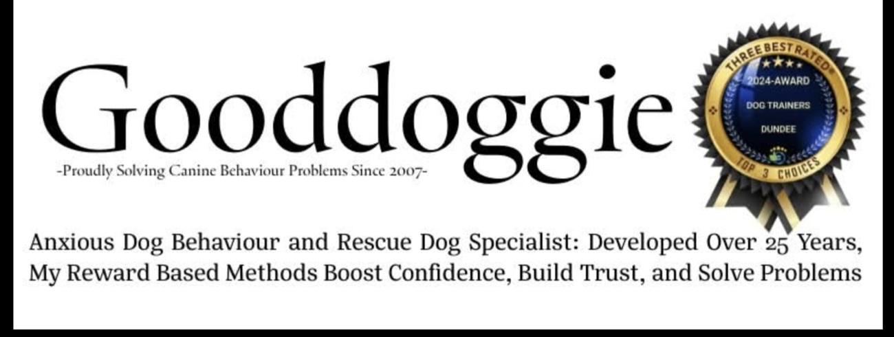 Caroline Mitchell Gooddoggie Banner Image