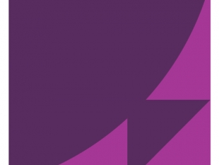 Gillian Redmond - BeeDeck Balloons Logo Image